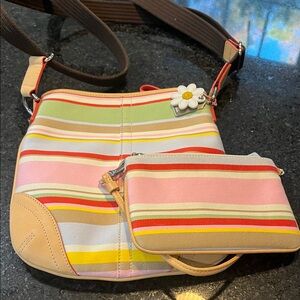 Coach Multicolor Striped Crossbody Bag Set
